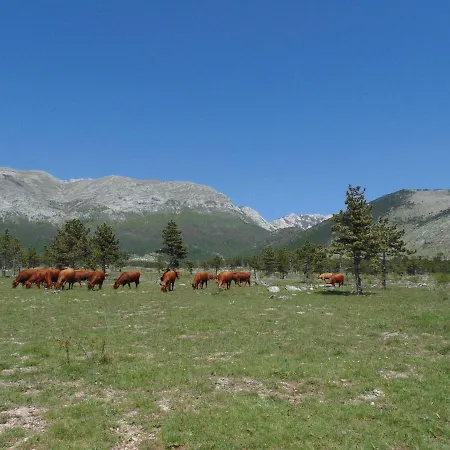 In Near Starigrad Paklenica