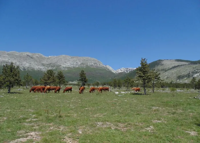 In Near Starigrad Paklenica
