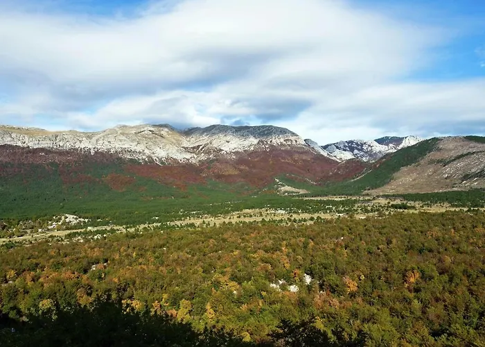 In Near Semesterbostad